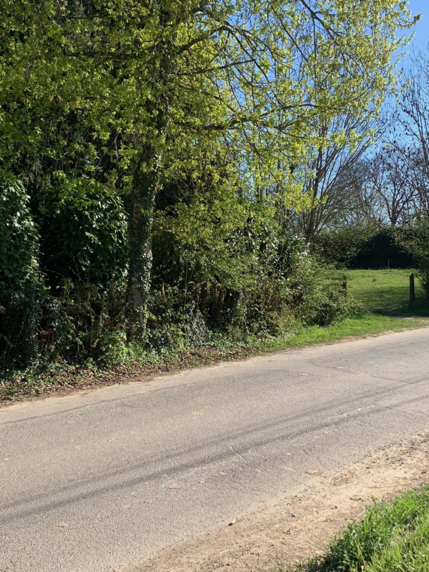Вилла Sur Cote En Dombes Villette-sur-Ain Экстерьер фото